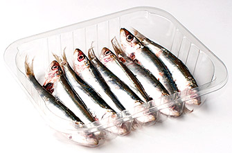 Sardines